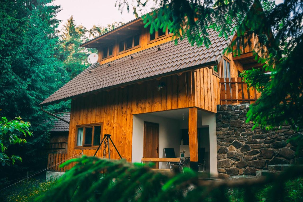 Casa De Vacanta Veche- Pe Malul Lacului Ferienhaus *