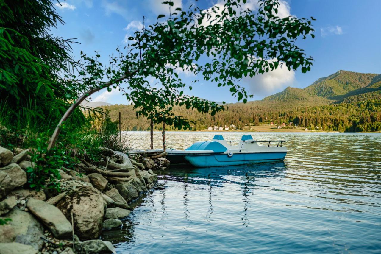 Hébergement de vacances Casa De Vacanta Veche- Pe Malul Lacului